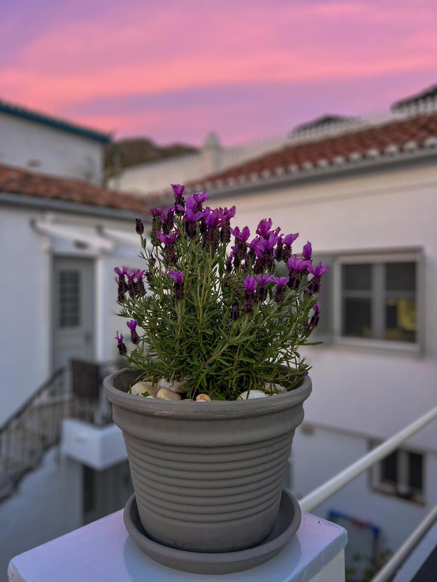 Pearl House Apartman Ídra Kültér fotó